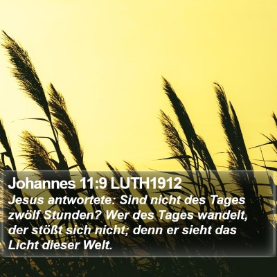 Johannes 11:9 LUTH1912 Bible Verse Image