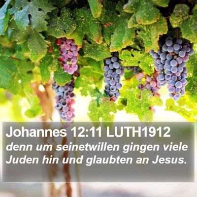 Johannes 12:11 LUTH1912 Bible Verse Image