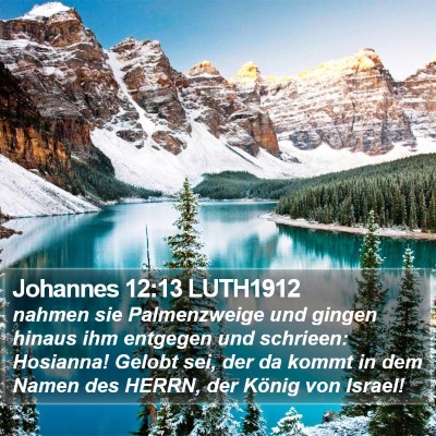 Johannes 12:13 LUTH1912 Bible Verse Image