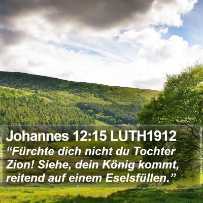 Johannes 12:15 LUTH1912 Bible Verse Image