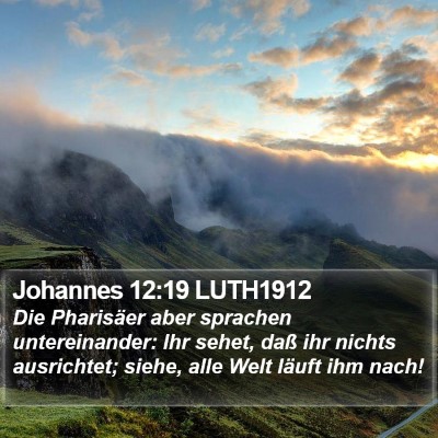 Johannes 12:19 LUTH1912 Bible Verse Image