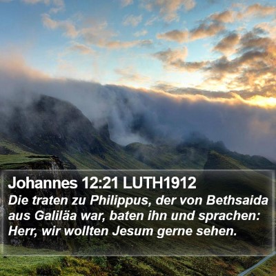 Johannes 12:21 LUTH1912 Bible Verse Image