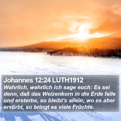 Johannes 12:24 LUTH1912 Bible Verse Image