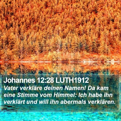 Johannes 12:28 LUTH1912 Bible Verse Image