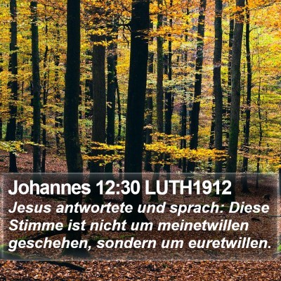 Johannes 12:30 LUTH1912 Bible Verse Image