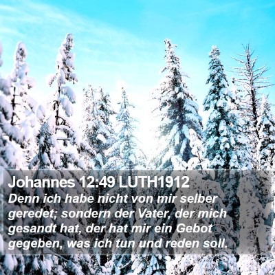 Johannes 12:49 LUTH1912 Bible Verse Image