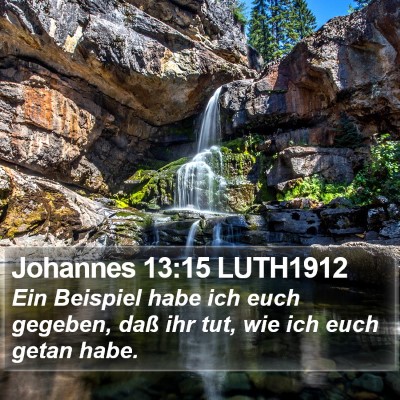 Johannes 13:15 LUTH1912 Bible Verse Image