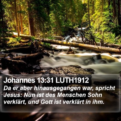 Johannes 13:31 LUTH1912 Bible Verse Image