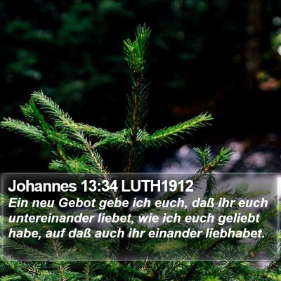 Johannes 13:34 LUTH1912 Bible Verse Image