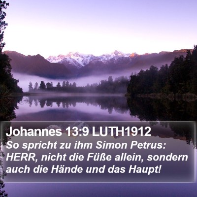Johannes 13:9 LUTH1912 Bible Verse Image
