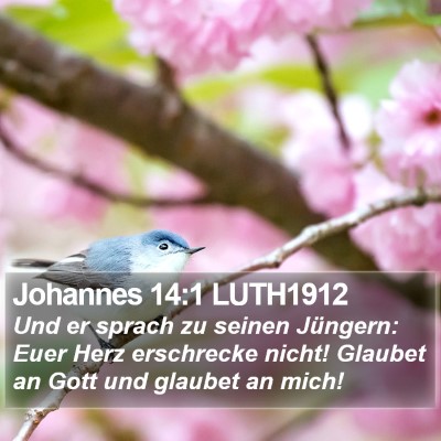 Johannes 14:1 LUTH1912 Bible Verse Image