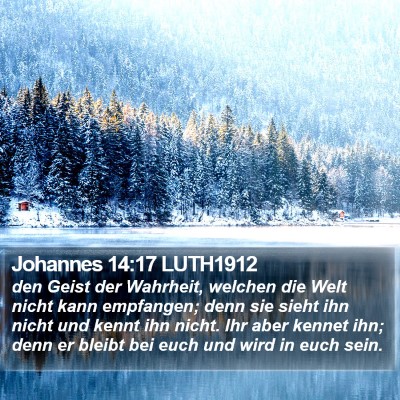 Johannes 14:17 LUTH1912 Bible Verse Image
