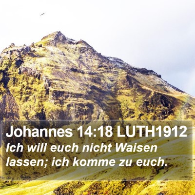 Johannes 14:18 LUTH1912 Bible Verse Image