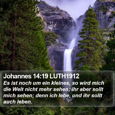 Johannes 14:19 LUTH1912 Bible Verse Image