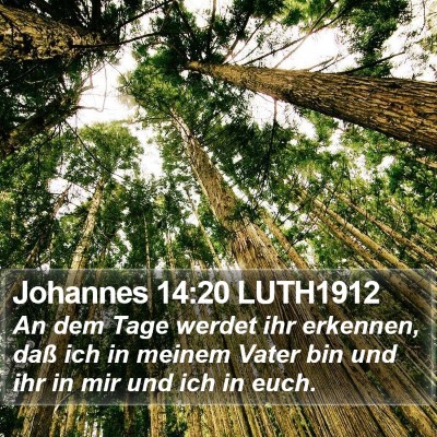 Johannes 14:20 LUTH1912 Bible Verse Image