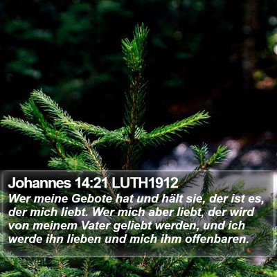 Johannes 14:21 LUTH1912 Bible Verse Image