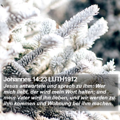Johannes 14:23 LUTH1912 Bible Verse Image
