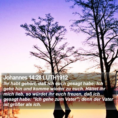 Johannes 14:28 LUTH1912 Bible Verse Image