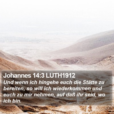 Johannes 14:3 LUTH1912 Bible Verse Image