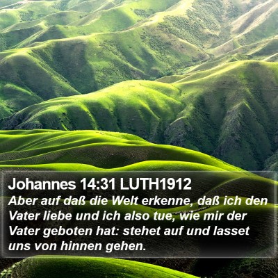 Johannes 14:31 LUTH1912 Bible Verse Image