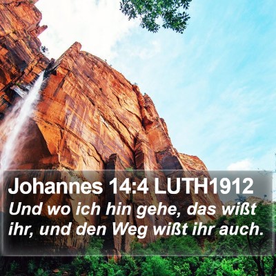 Johannes 14:4 LUTH1912 Bible Verse Image