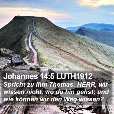 Johannes 14:5 LUTH1912 Bible Verse Image