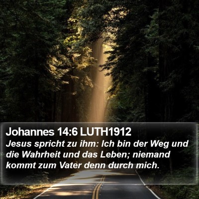 Johannes 14:6 LUTH1912 Bible Verse Image