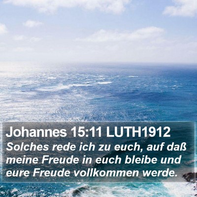 Johannes 15:11 LUTH1912 Bible Verse Image