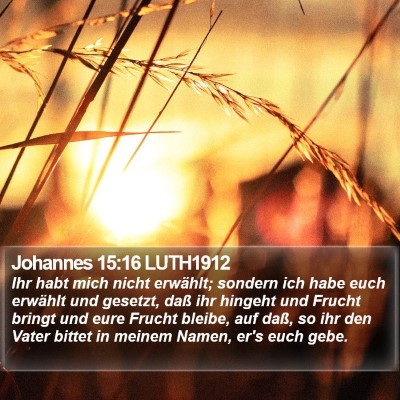 Johannes 15:16 LUTH1912 Bible Verse Image