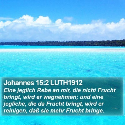 Johannes 15:2 LUTH1912 Bible Verse Image