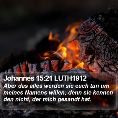 Johannes 15:21 LUTH1912 Bible Verse Image