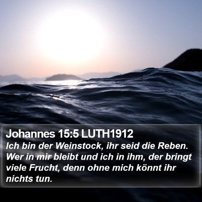 Johannes 15:5 LUTH1912 Bible Verse Image
