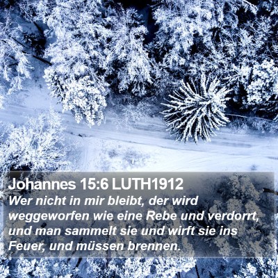 Johannes 15:6 LUTH1912 Bible Verse Image