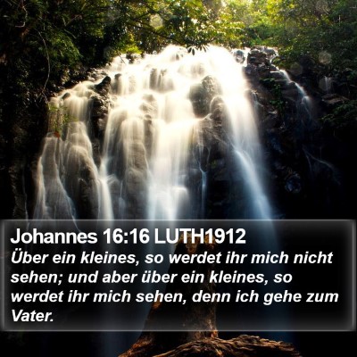 Johannes 16:16 LUTH1912 Bible Verse Image