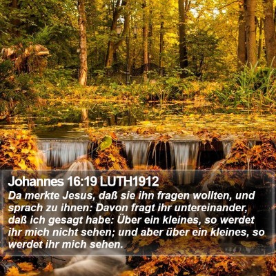 Johannes 16:19 LUTH1912 Bible Verse Image