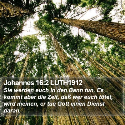 Johannes 16:2 LUTH1912 Bible Verse Image