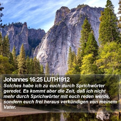 Johannes 16:25 LUTH1912 Bible Verse Image
