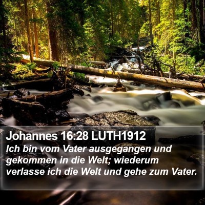 Johannes 16:28 LUTH1912 Bible Verse Image