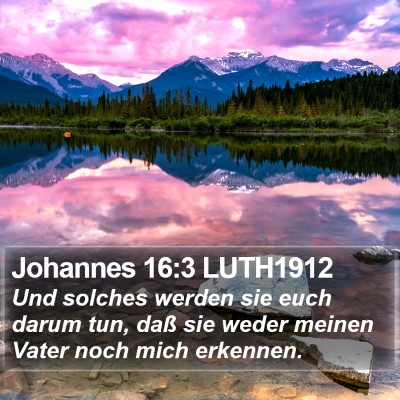 Johannes 16:3 LUTH1912 Bible Verse Image