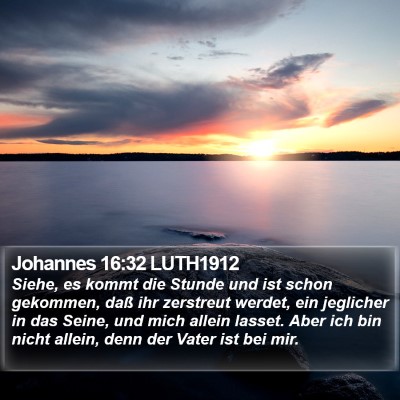 Johannes 16:32 LUTH1912 Bible Verse Image