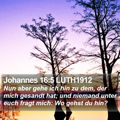 Johannes 16:5 LUTH1912 Bible Verse Image