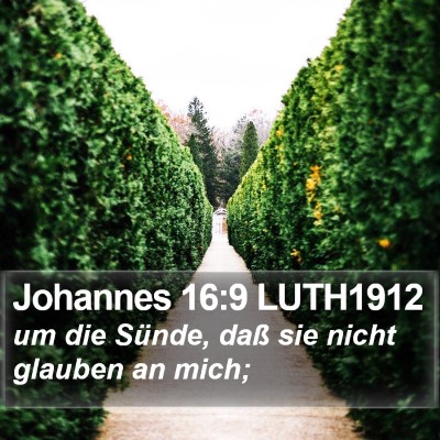 Johannes 16:9 LUTH1912 Bible Verse Image