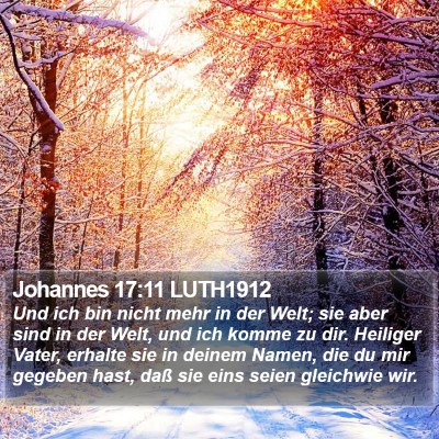 Johannes 17:11 LUTH1912 Bible Verse Image
