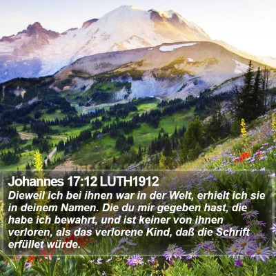 Johannes 17:12 LUTH1912 Bible Verse Image