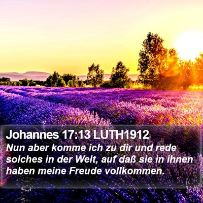 Johannes 17:13 LUTH1912 Bible Verse Image