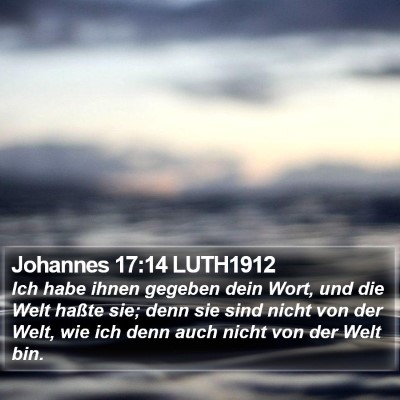 Johannes 17:14 LUTH1912 Bible Verse Image