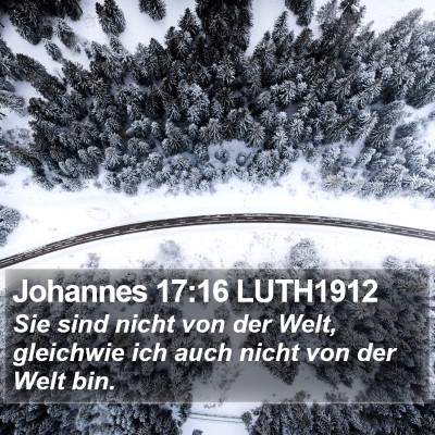 Johannes 17:16 LUTH1912 Bible Verse Image