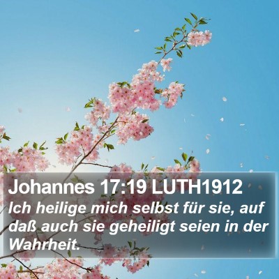 Johannes 17:19 LUTH1912 Bible Verse Image