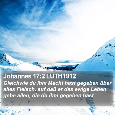 Johannes 17:2 LUTH1912 Bible Verse Image