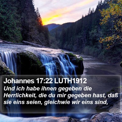 Johannes 17:22 LUTH1912 Bible Verse Image